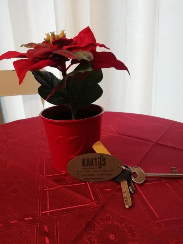 Kaktus B&B image 15